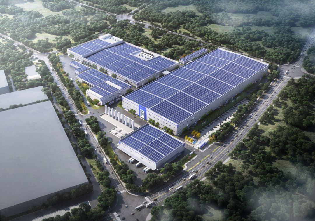 ��8-long8(����)Ψһ�ٷ���վ